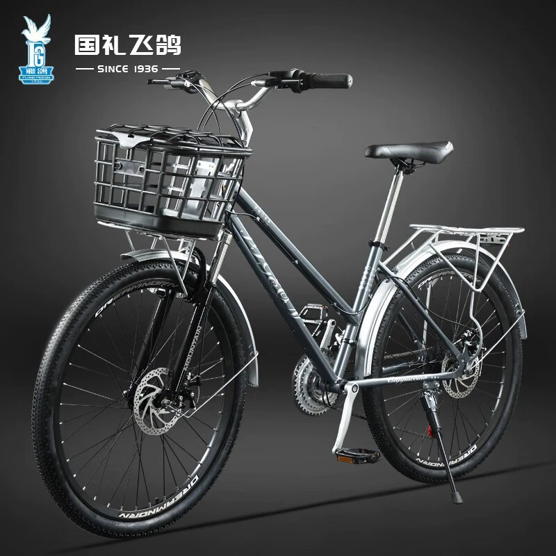 飞鸽 Walker for elderly, old-fashioned bike, basket