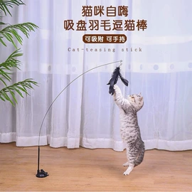 猫猫玩具;猫猫零食;狗狗玩具