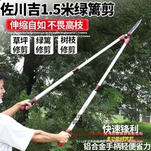 ������1.5�׼��L2022TA��s�G�h����������޼���֦�@����֦��@