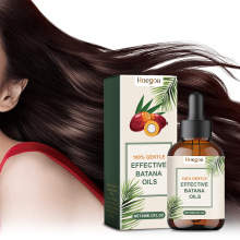 HOEGOA �Ե�������{�o�l���� ���B��l�ɿ��^�l�o���aˮ�l�z