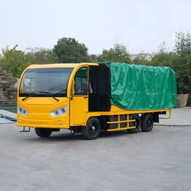 其他电动车;电动观光车;运输搬运设备