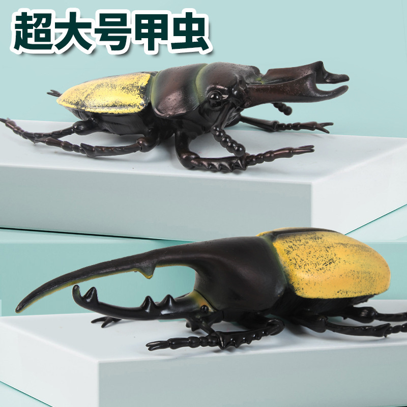 New Oversized Beetle Model Ornaments Children's Toys Stall Boys' Animal Simulation Model Factory Wholesale