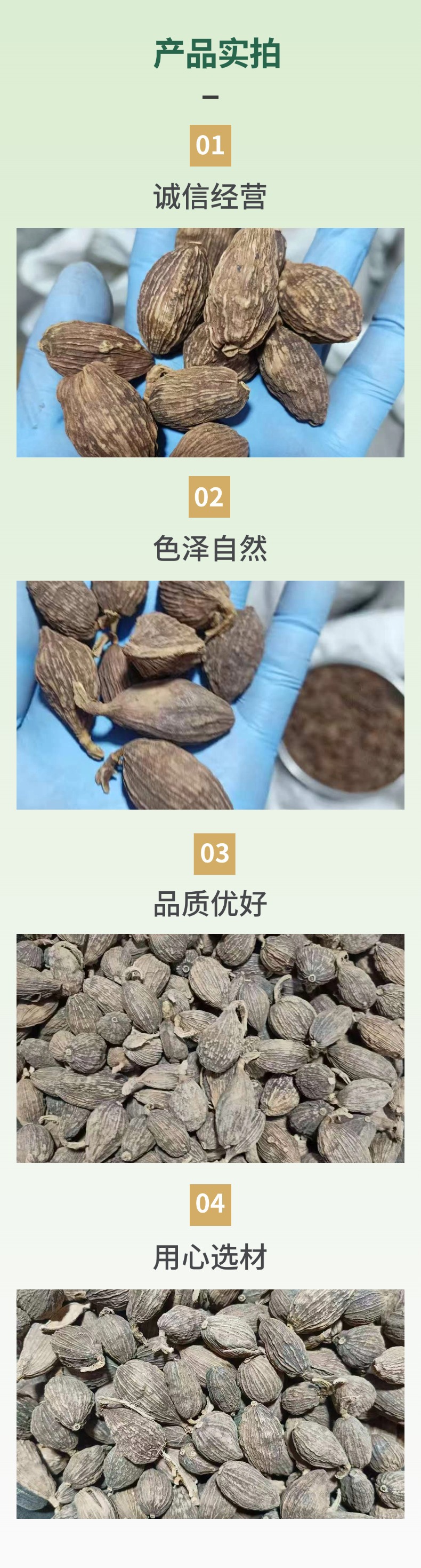 Dried Caoguo Fruit Amomum tsaoko Whole Spice for Sichuan Hot Pot and Braised Dishes 500g specifications
