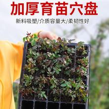 ����Ѩ�P�Ӻ�����P�߲˶���ѿ��Ǥ��P��������P��ݮ��������u