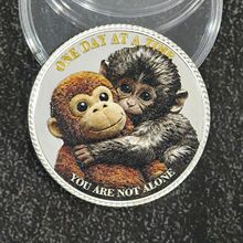 小猴子PUNCH纪念币 双面浮雕纪念章 猴子玩具硬币 热销外贸纪念币