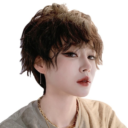 Wig female comics real short hair tinfoil permed celebrity full headgear natural fluffy neutral full headgear can be wholesaled