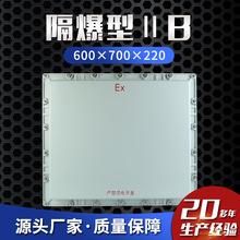 隔爆型ⅡB 600×700×220防爆接线箱 防爆仪表控制箱 防爆配电箱
