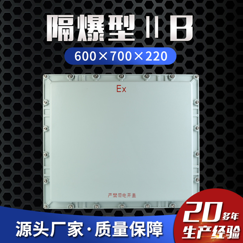 隔爆型ⅡB 600×700×220防爆接线箱 防爆仪表控制箱 防爆配电箱