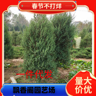 һ�����l�G�����ɘ��� ���ɘ��� �̰��� ��·�G�� ������ ���ɘ�