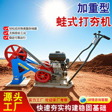 蛙式打夯机  电动夯实机 蛙式打夯机80型电动蛙夯 100蛙式打夯机