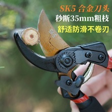 ��֦��ʡ��sk5�Ͻ�����֦�������������@�֌��û�֦����