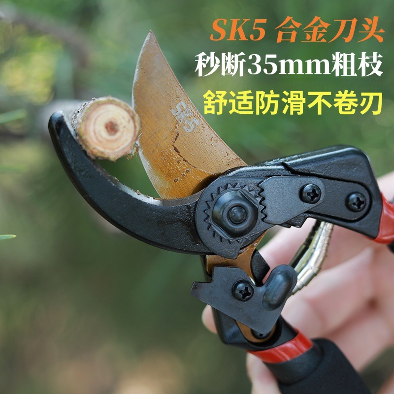 修枝剪省力sk5合金果树粗枝助力剪花剪刀园林专用花枝耐用