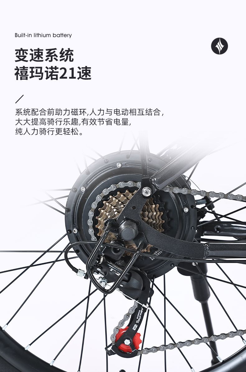 Electric Bicycle Hidden Lithium Battery 24/26 inch Electric Mountain Bike