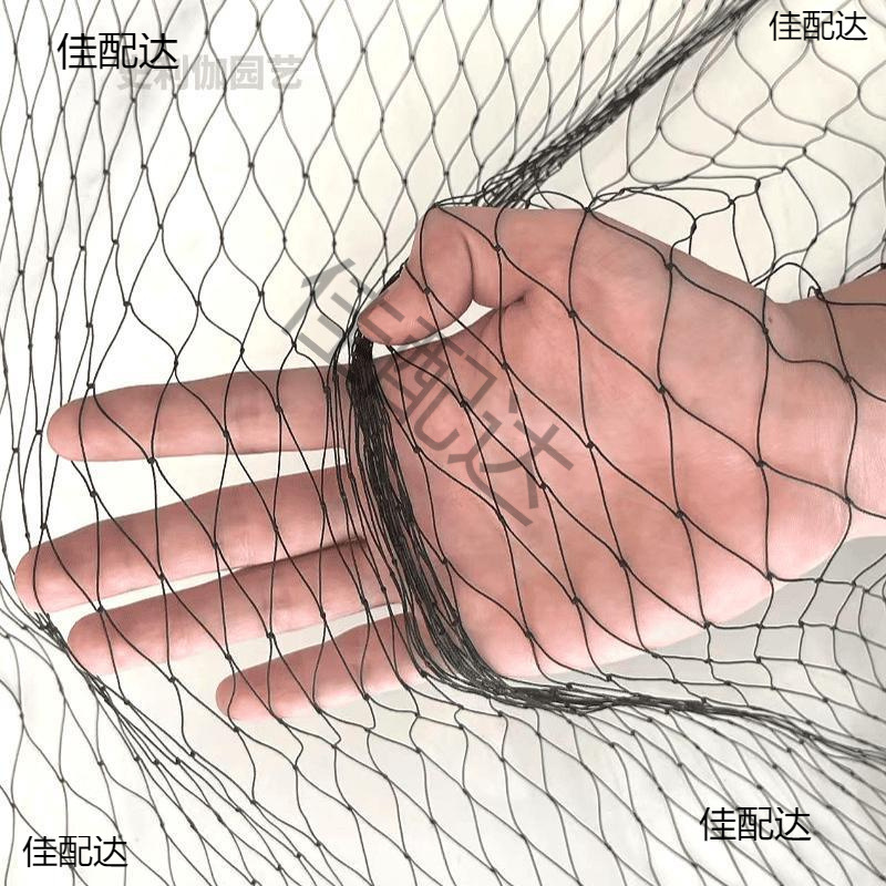 大棚专用防鸟网黑色涤纶果树防护网养殖鱼塘果园农田拦鸟天网批发