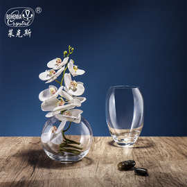 捷克进口莱克斯无铅水晶玻璃花瓶加厚椭圆形高颜值家居酒店批发