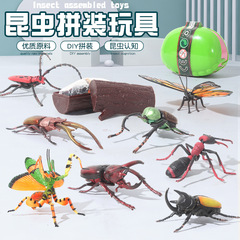 クロスボーダー子供シミュレーション動物甲虫模型野生中実プラスチック組み合わせ昆虫玩具プラスチックリアル模型