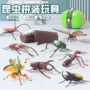 拼装仿真儿童跨境昆虫