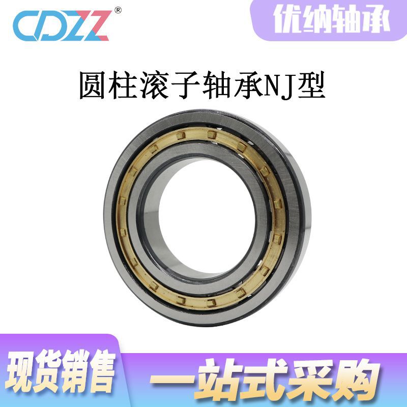 圆柱滚子轴承 NJ 2213 2214 2215 2216 2217 2218 2219 2220 EM E