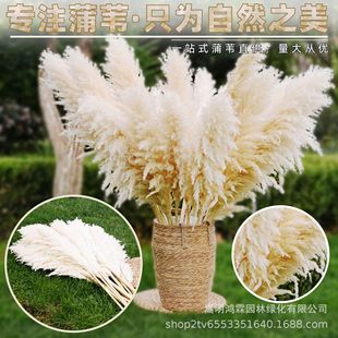 ���S����Ȕ10֧�������ɻ���Ȕһ�����]������˹��Y�쾰�Ҿ��b�