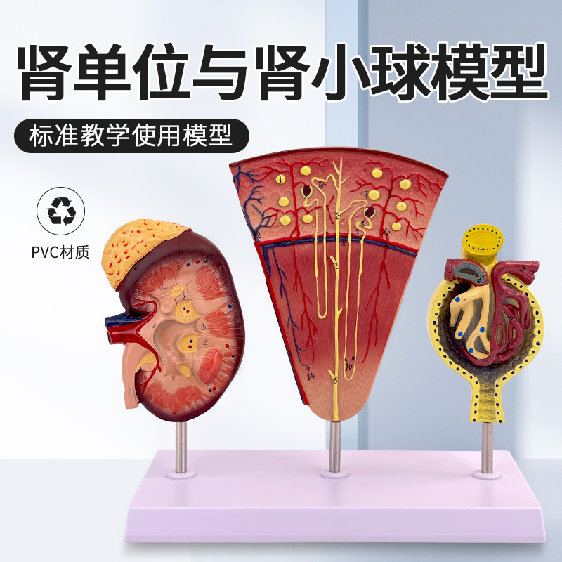 ��������λ ��С��ģ�� ������ģ�� ����ģ�� �������ģ�� ����