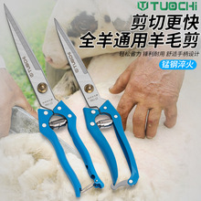 ����ë�ļ�����ë�����քӽg�d��ë���Ï����ù�ë��̖������ë��