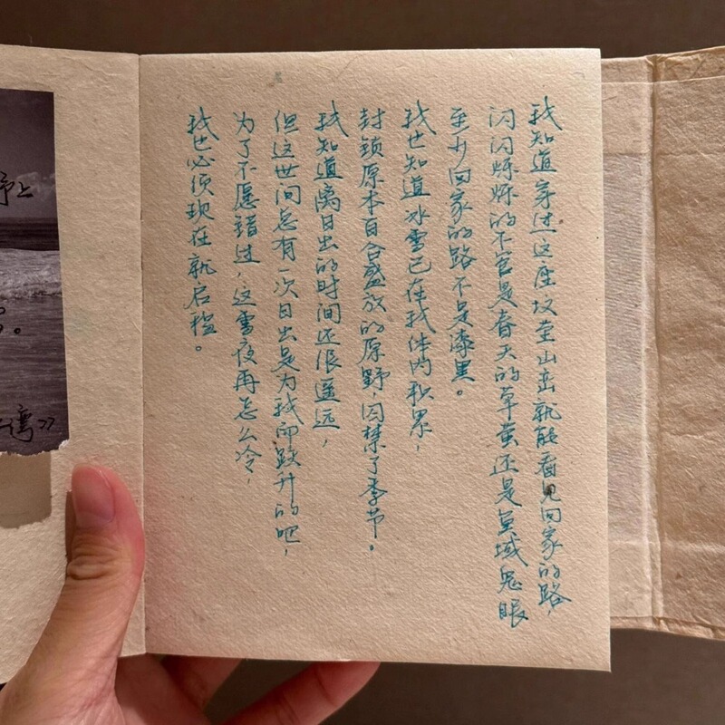 尼泊尔手工制作手账本高颜值小众笔记本自然植物纹理|undefined