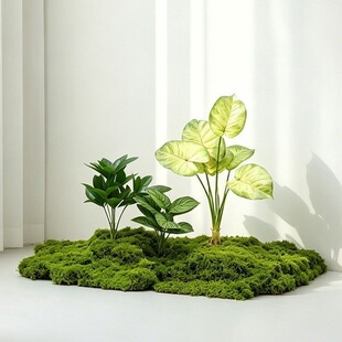 �ڼ���һƬСɭ��!����̦�\ DIY ΢���^�쾰�❲ˮ���G