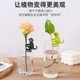 Cross-border plant cultivation support frame Plant Propagation Buddy plastic decorative hydroponic fixing frame