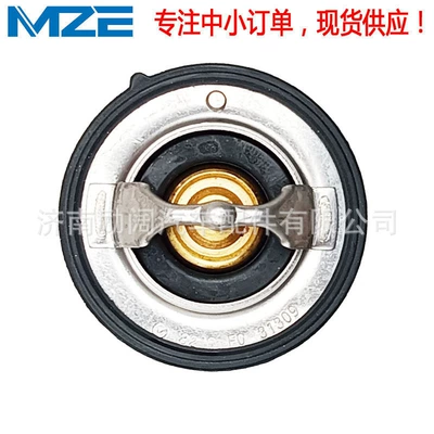 Thermostat for Jac T6 T8
