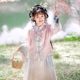 Hanfu Girls 2025 Spring and Autumn Children's Antique Super Fairy Pink Ming-made Horse-faced Skirt suit Little Girl's Paid Dress