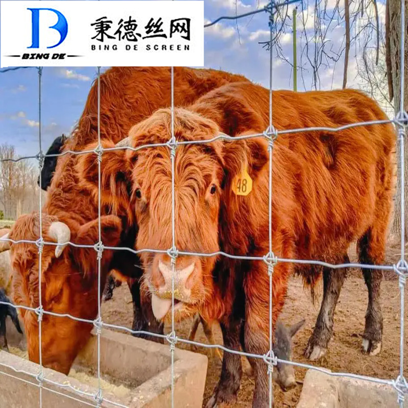 热镀锌钢丝网草原养殖场围栏网圈地果园护栏网农场养殖圈羊铁丝网
