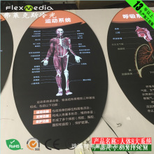 科技馆展馆新方案,人体八大系统动画图,EL冷光灯,超薄灯箱