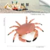 PL127-2226 Crab
