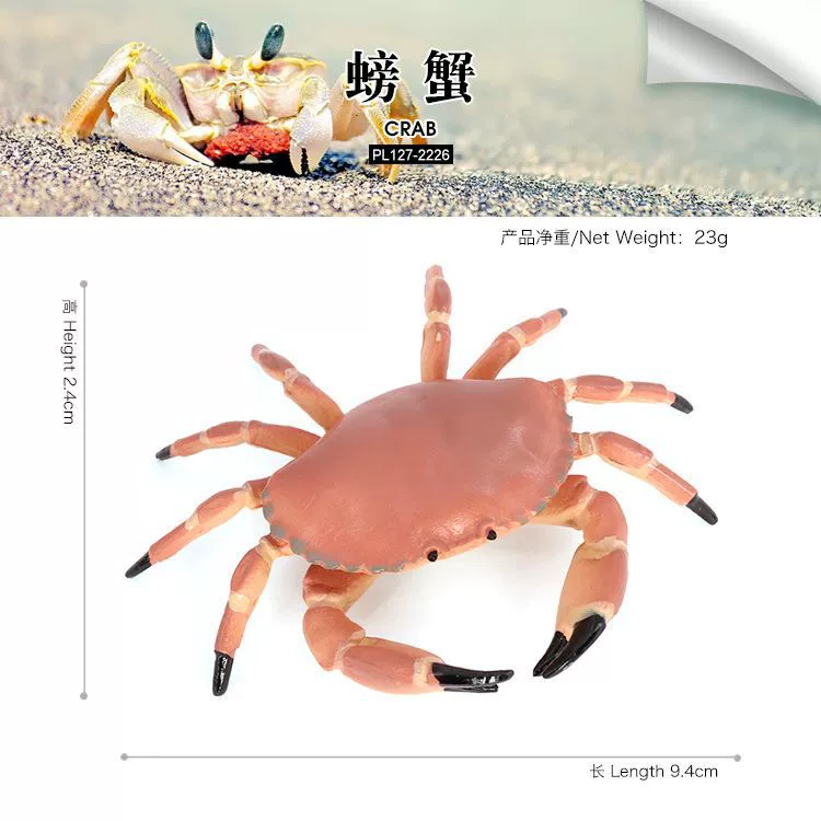 Реалистичная морская животная модель, обучающая игрушка, морское дно