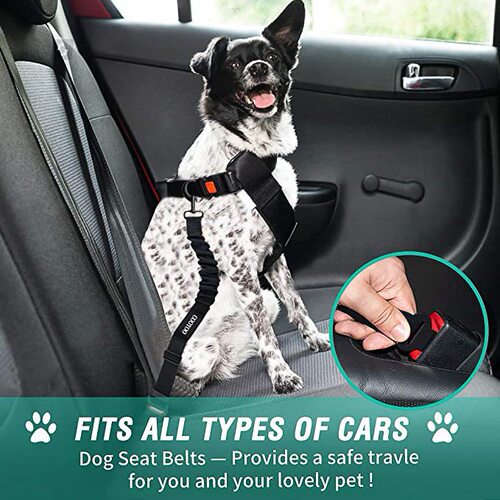 Cross-border pet supplies dog car safety belt leash walking rope dog rope reflective large anti-explosion dog repeller