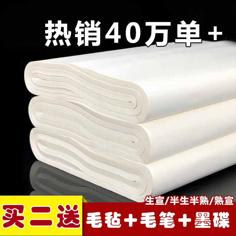 宣纸书法专用纸加厚四尺半生熟生宣国画创作纸毛笔字初学者练习纸