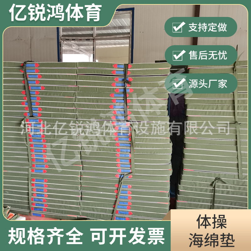 Folding Gymnastics Mat Fitness Sit-Ups Somersault Sponge Mat High Jump Martial Arts Taekwondo School Storage Yoga