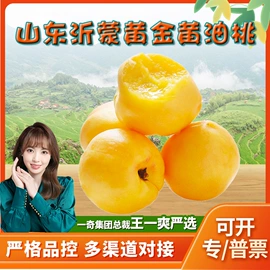 粽子;桃子;瓜果类