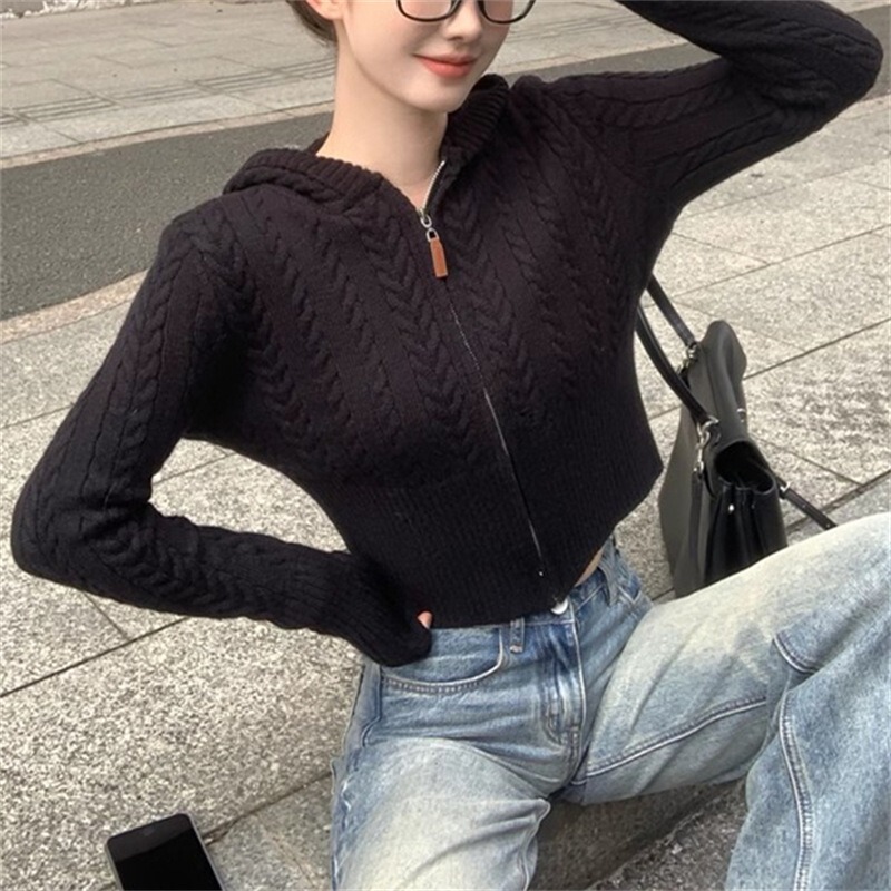 温柔气质温柔拉链麻花长袖毛衣外套女秋季显瘦短款针织开衫上衣|undefined