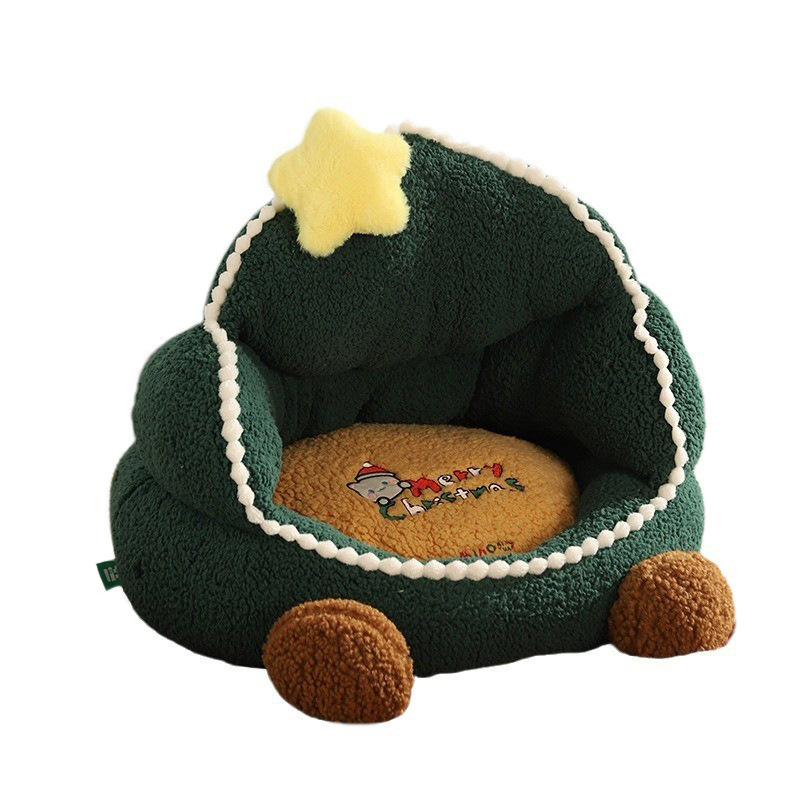 (Enlace exclusivo 2 - 3)