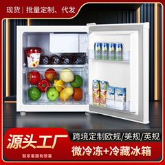 冷蔵庫 家庭用 小型 レトロ シングルドア ホテル客室 母乳 キッチン 冷蔵 寮用 ミニ冷蔵庫 一人用