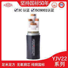 廣東電纜AAA牌YJV22 0.6/1kV國標銅芯交聯聚乙烯絕緣鎧裝電力電纜