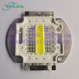 Mulise Technology Aquarium and Aquatic Plant Lamp Beads, Seawater Coral Lamp Beads, All Spectra Can Be Customized by the Factory