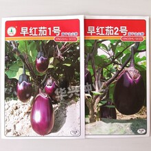 �d����t��1̖/2̖���ӷN�s�� �߲˷N�������ϼt�A�����͟��ͺ�5g