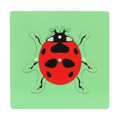 Brainteaser Montessori, teaching aids, professional smart toy