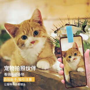 �羳�������������ɊAʳ�ﹷ���������տ��R�^�֙C�A���ˌ����
