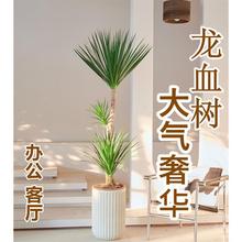 ��횘���;Gֲ���^��������Ѫ�����F���҃��k���͏d���Ի���ֲ��