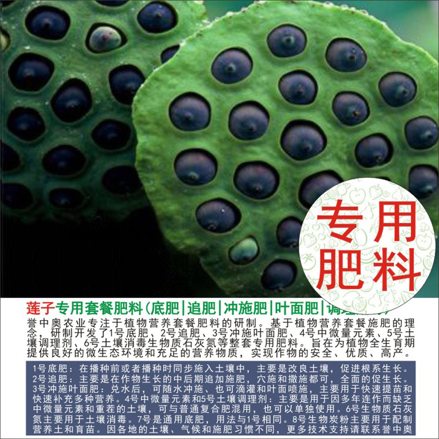 50�����а�����ר���л��ʸ��Ϸʵ׷�׷��Ҷ��ʳ�ʩ��ˮ�ܷ�