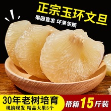 15斤4-5个玉环文旦柚子孕妇当季新鲜水果浙江台州楚门白肉蜜