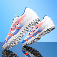 ��Ů�͎�͸������Ь�ЌW�������\�ӳ��ˌ��I��ِӖ����Ь���l�Ь